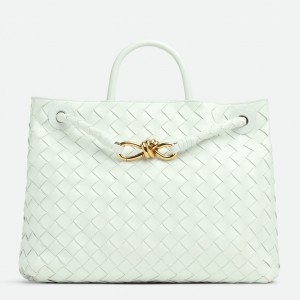 Bottega Veneta Andiamo Small Bag In Glacier Intrecciato Lambskin