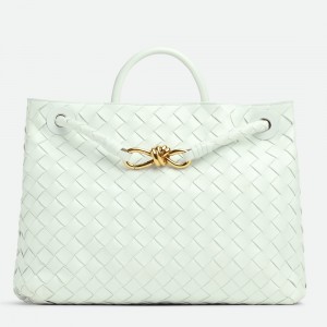 Bottega Veneta Andiamo Medium Bag In Glacier Intrecciato Lambskin