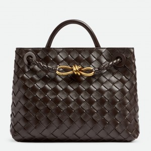 Bottega Veneta Andiamo Small Bag In Fondant Intrecciato Lambskin