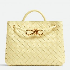 Bottega Veneta Andiamo Small Bag In Ice Cream Intrecciato Lambskin