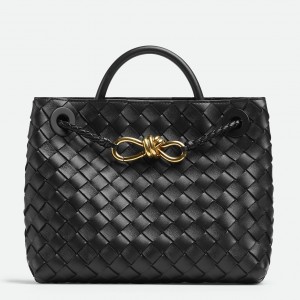 Bottega Veneta Andiamo Small Bag In Black Intrecciato Lambskin