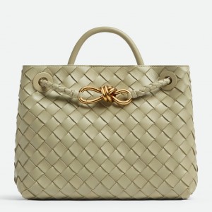 Bottega Veneta Andiamo Small Bag In Travertine Intrecciato Lambskin