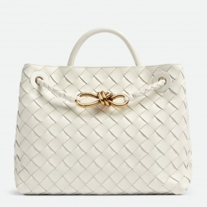 Bottega Veneta Andiamo Small Bag In White Intrecciato Lambskin