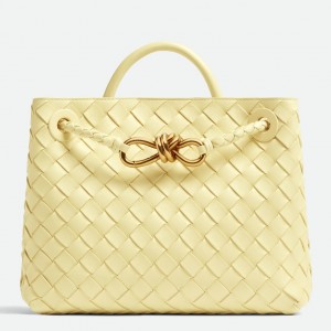 Bottega Veneta Andiamo Medium Bag In Ice Cream Intrecciato Lambskin