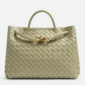 Bottega Veneta Andiamo Medium Bag In Travertine Intrecciato Lambskin