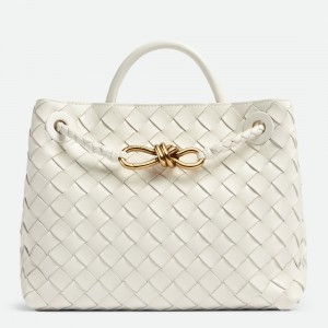 Bottega Veneta Andiamo Medium Bag In White Intrecciato Lambskin