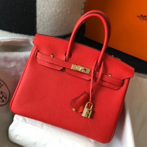 Hermes Birkin 25cm Bag in Red Clemence Leather with GHW