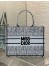 Dior Medium Book Tote Bag in Blue Miss Dior Allover Embroidery