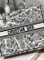 Dior Large Book Tote Bag In White Plan de Paris Embroidery