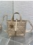 Dior Toujours Vertical Small Tote Bag in Beige Macrocannage Calfskin
