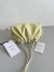 Bottega Veneta Mini Pouch with Strap in Zest Washed Calfskin