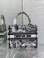 Dior Small Book Tote Bag In White Plan de Paris Embroidery
