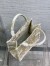 Dior Small Book Tote Bag In Gold Rêve d'Infini Embroidery