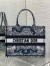 Dior Medium Book Tote Bag in Blue Dior Around the World Embroidery