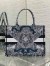Dior Medium Book Tote Bag in Blue Dior Around the World Embroidery