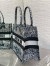 Dior Medium Book Tote Bag in Blue Dior Around the World Embroidery