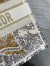 Dior Medium Book Tote Bag in Gold-Tone Dior Around the World Embroidery 