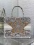 Dior Medium Book Tote Bag in Gold-Tone Dior Around the World Embroidery 