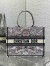 Dior Medium Book Tote Bag in Multicolor Dior Around the World Embroidery
