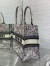 Dior Medium Book Tote Bag in Multicolor Dior Around the World Embroidery