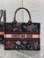 Dior Medium Book Tote Bag in Black Raffia with Dior Cabinet de Curiosites