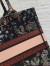 Dior Medium Book Tote Bag in Black Raffia with Dior Cabinet de Curiosites