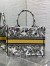 Dior Medium Book Tote Bag in Embroidery with Yellow Dior Chardons Motif
