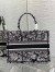 Dior Medium Book Tote Bag In Black Plan de Paris Embroidery 