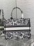 Dior Medium Book Tote Bag In White Plan de Paris Embroidery 