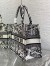Dior Medium Book Tote Bag In White Plan de Paris Embroidery 