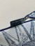 Dior Medium Book Tote Bag In White & Blue Rêve d'Infini Embroidery