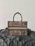 Dior Medium Book Tote Bag In Brown Toile de Jouy Embroidery