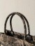 Dior Medium Book Tote Bag In Brown Toile de Jouy Embroidery