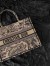 Dior Medium Book Tote Bag In Brown Toile de Jouy Embroidery