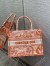 Dior Medium Book Tote Bag In Orange Transparent Toile de Jouy Canvas