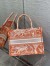 Dior Medium Book Tote Bag In Orange Transparent Toile de Jouy Canvas
