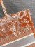 Dior Medium Book Tote Bag In Orange Transparent Toile de Jouy Canvas