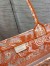 Dior Medium Book Tote Bag In Orange Transparent Toile de Jouy Canvas