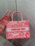 Dior Medium Book Tote Bag In Pink Transparent Toile de Jouy Canvas