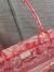 Dior Medium Book Tote Bag In Pink Transparent Toile de Jouy Canvas