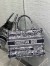 Dior Medium Book Tote Bag In Blue Toile de Jouy Stripes Embroidery