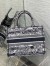 Dior Medium Book Tote Bag In Blue Toile de Jouy Stripes Embroidery