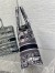 Dior Medium Book Tote Bag In Blue Toile de Jouy Stripes Embroidery