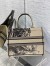 Dior Medium Book Tote Bag In Macro Toile de Jouy Tiger Embroidery 