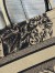 Dior Medium Book Tote Bag In Macro Toile de Jouy Tiger Embroidery 