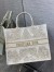 Dior Large Book Tote Bag In Dior Around the World Stella Embroidery