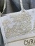 Dior Large Book Tote Bag In Dior Around the World Stella Embroidery