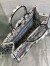 Dior Large Book Tote Bag in Multicolor Cabinet de Curiosites Embroidery 