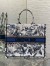 Dior Large Book Tote Bag in Denim Blue Dior Chardons Embroidery