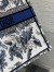 Dior Large Book Tote Bag in Denim Blue Dior Chardons Embroidery